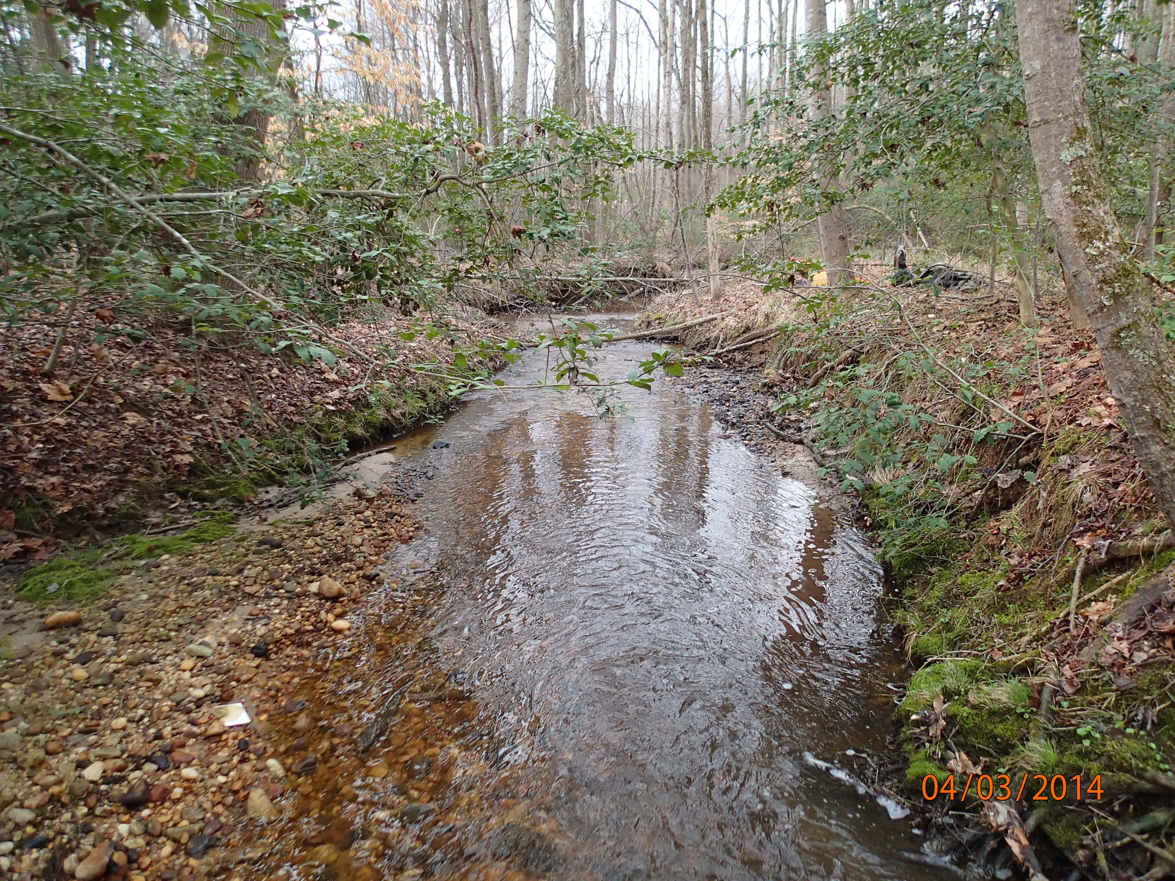 Field photo showing stream conditions at site MATT-109-R-2014-MidpointDownstream