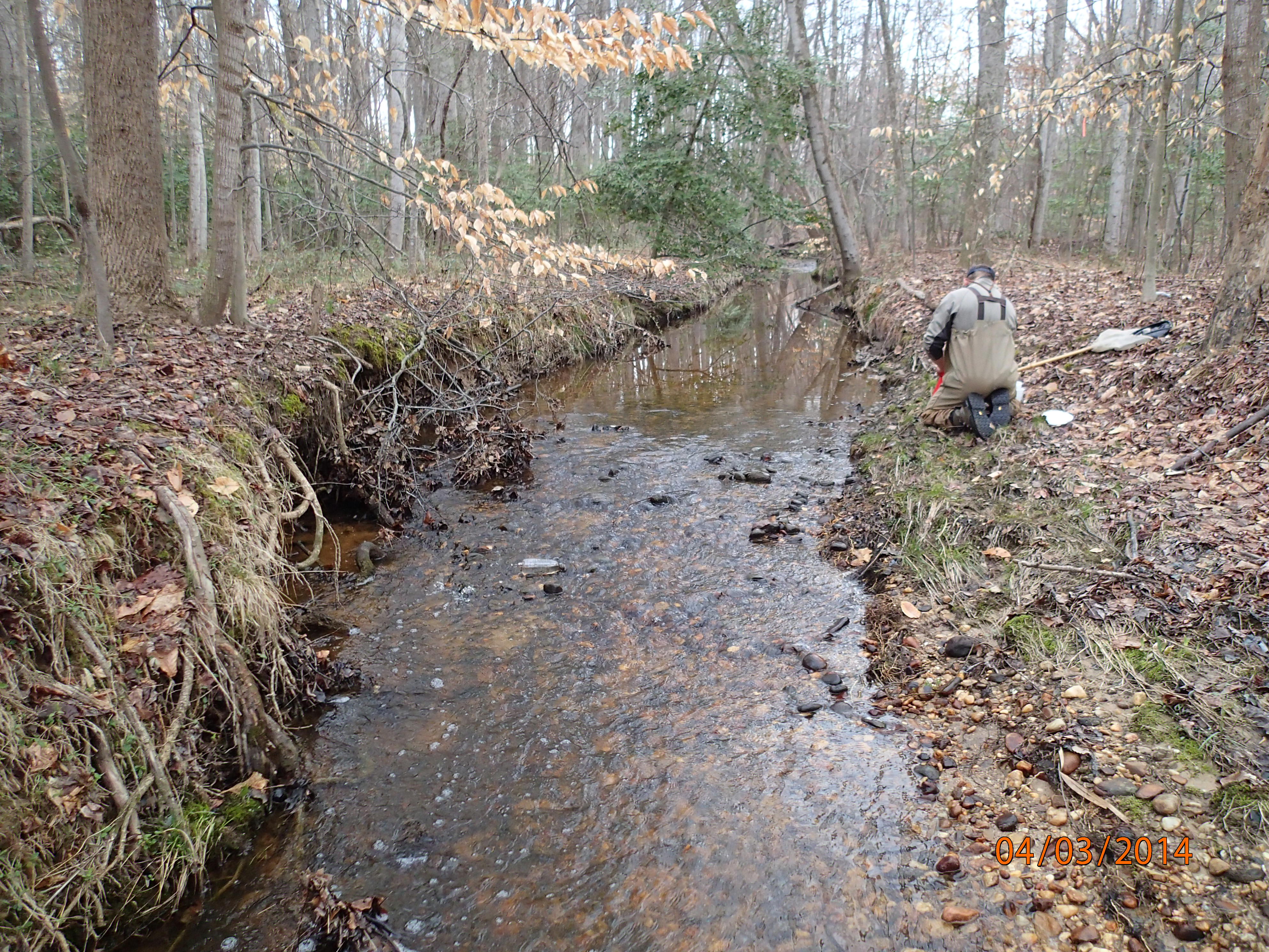 Field photo showing stream conditions at site MATT-109-R-2014-MidpointUpstream