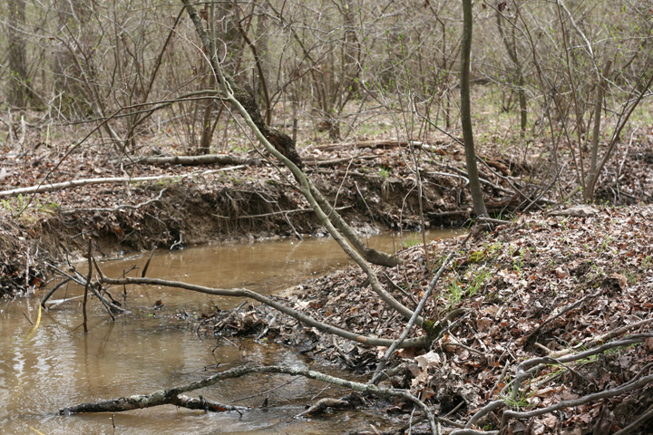Field photo showing stream conditions at site MATT-110-A-2009-1