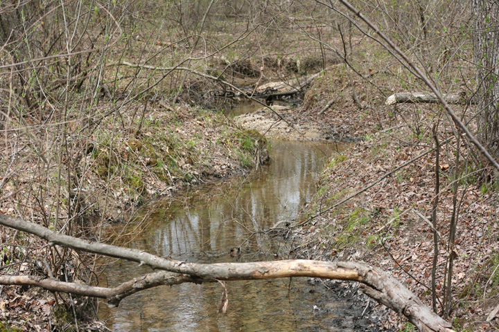 Field photo showing stream conditions at site MATT-110-A-2009-2