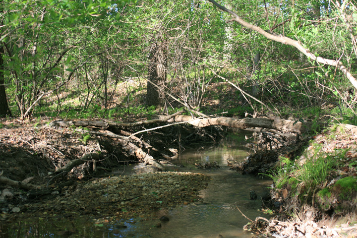 Field photo showing stream conditions at site MATT-110-A-2010-2