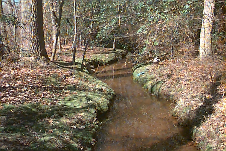 Field photo showing stream conditions at site MATT-115-R-2000-01