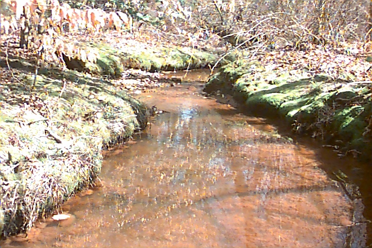Field photo showing stream conditions at site MATT-115-R-2000-02