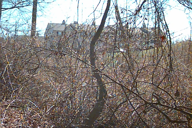Field photo showing stream conditions at site MATT-115-R-2000-03