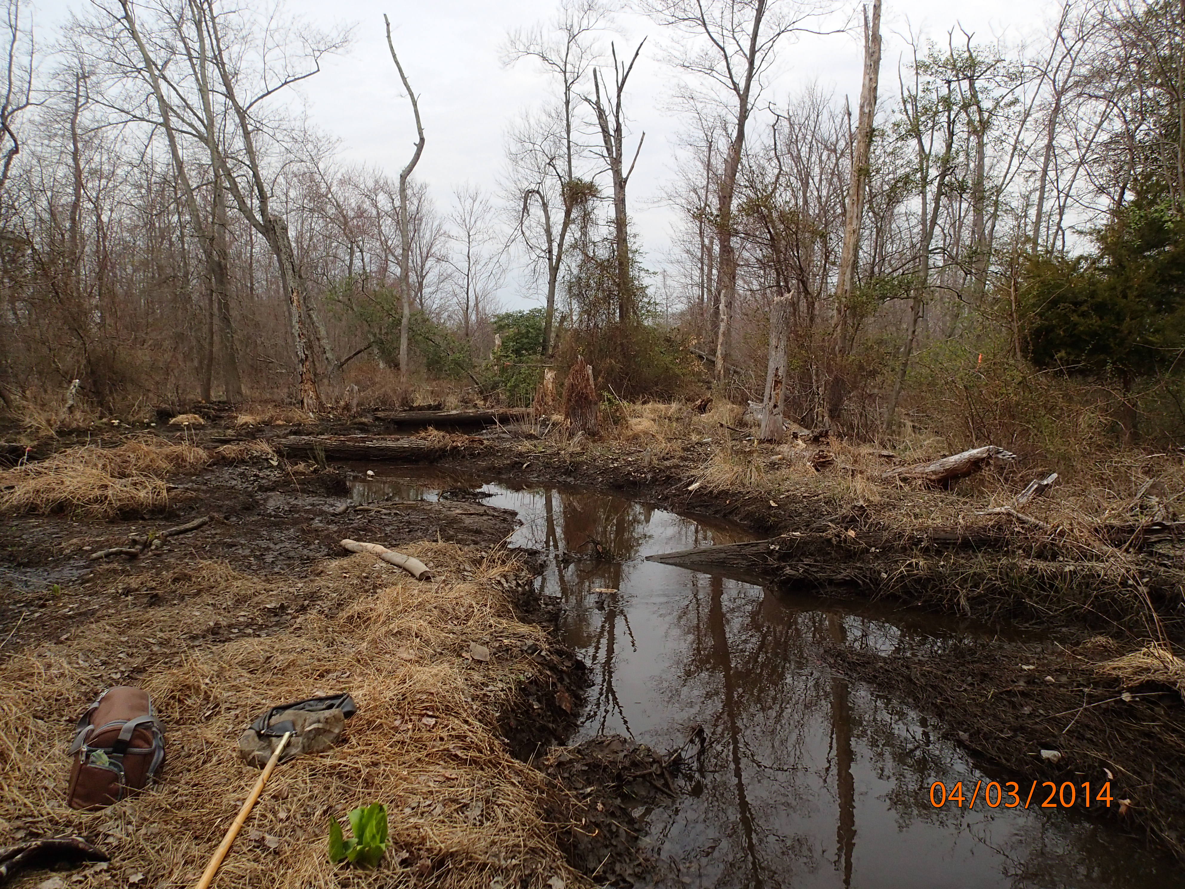 Field photo showing stream conditions at site MATT-115-R-2014-MidpointDownstream(afterbreechingdam)