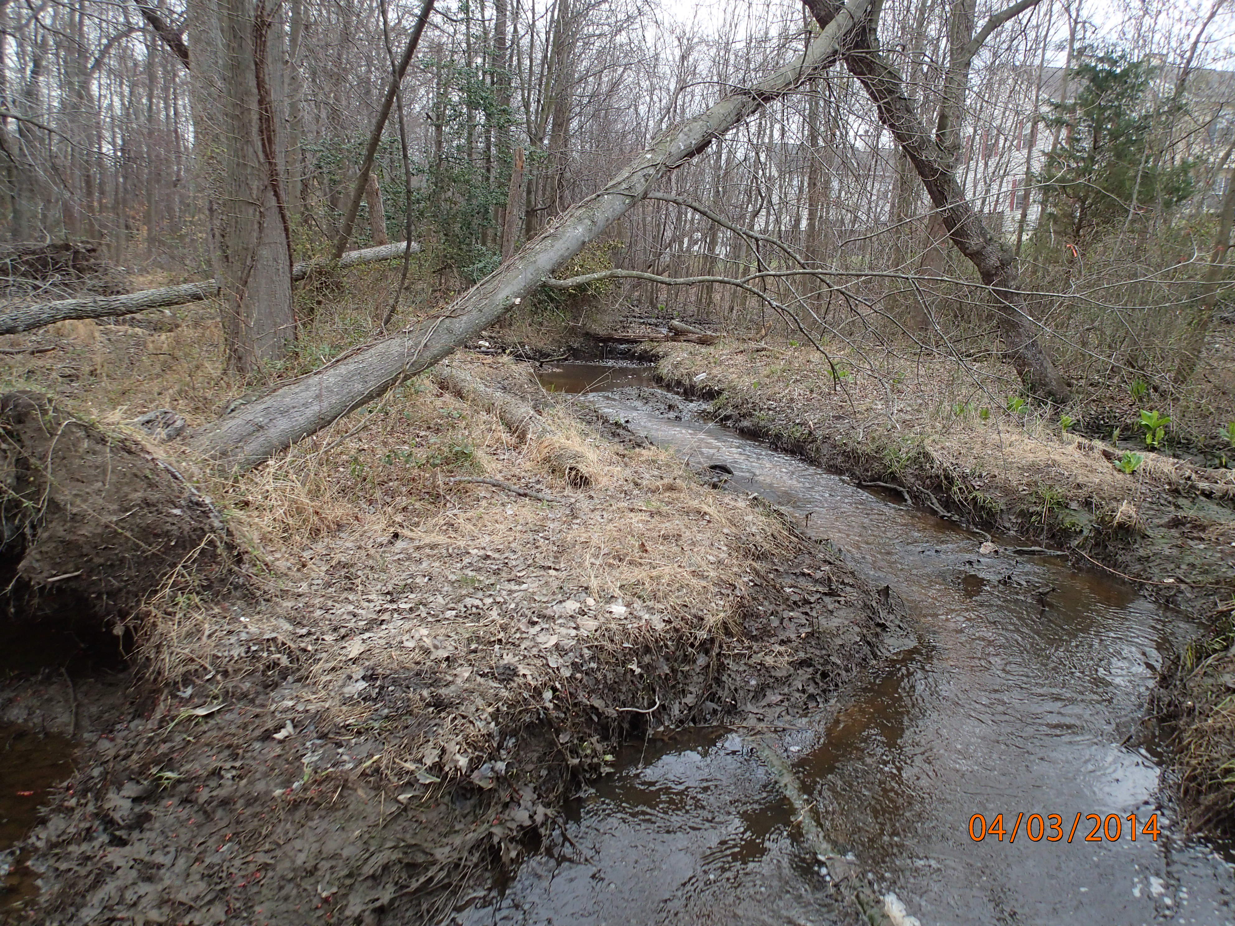 Field photo showing stream conditions at site MATT-115-R-2014-MidpointUpstream(afterbreechingdam)