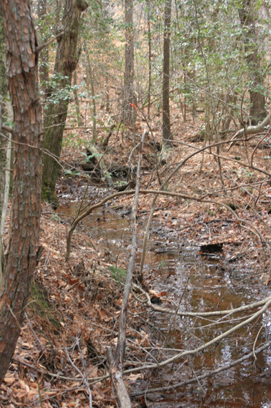 Field photo showing stream conditions at site MATT-117-A-2011-1