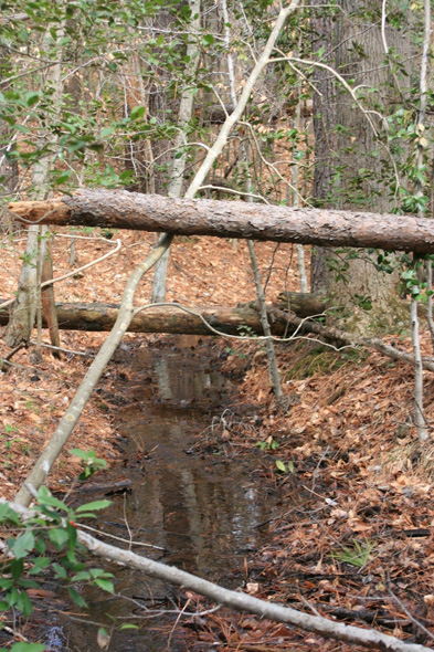 Field photo showing stream conditions at site MATT-117-A-2011-2