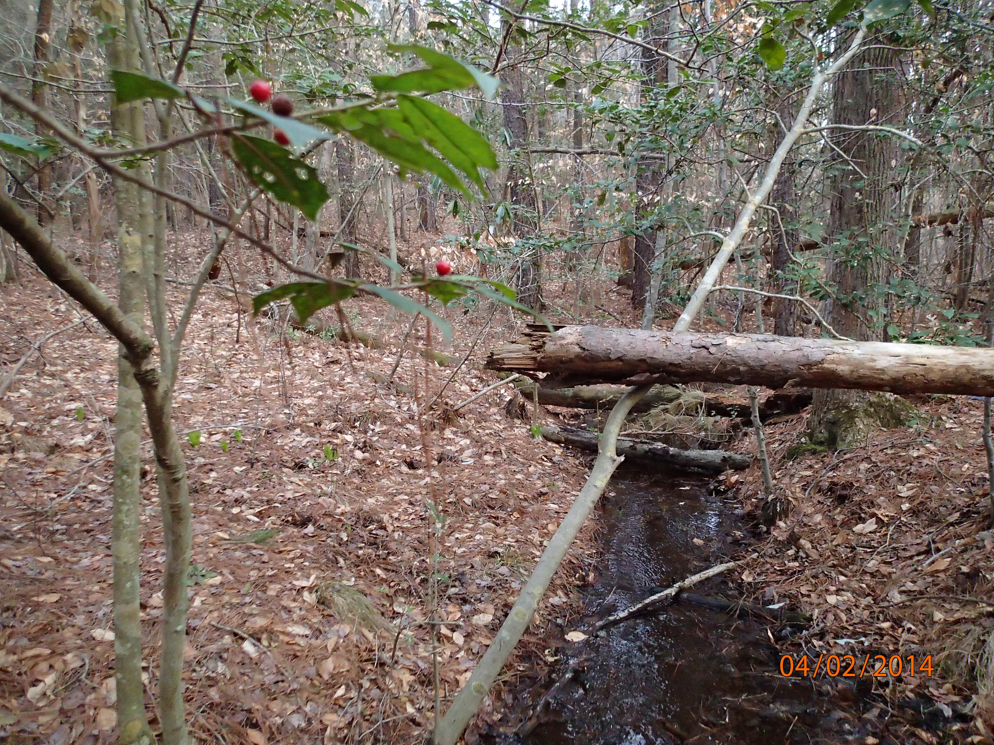 Field photo showing stream conditions at site MATT-117-R-2014-MidpointDownstream