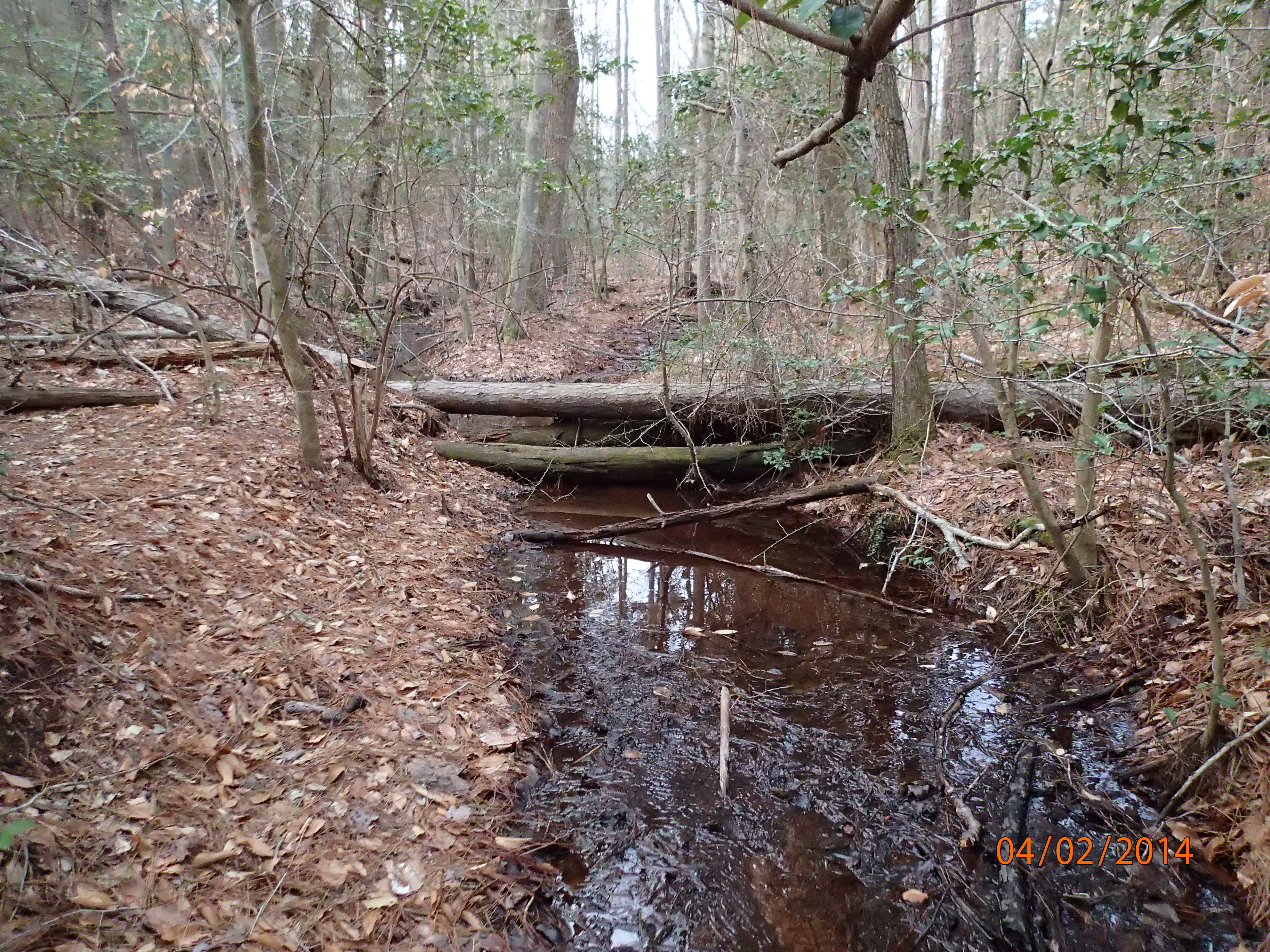 Field photo showing stream conditions at site MATT-117-R-2014-MidpointUpstream