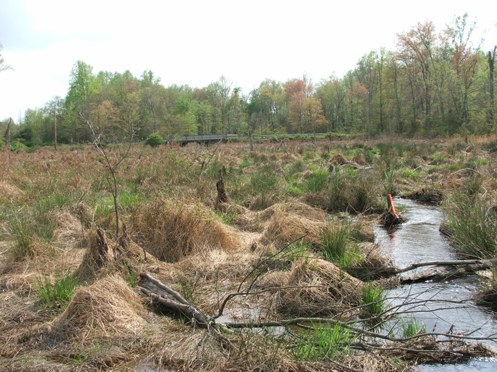 Field photo showing stream conditions at site MATT-201-A-2008-1