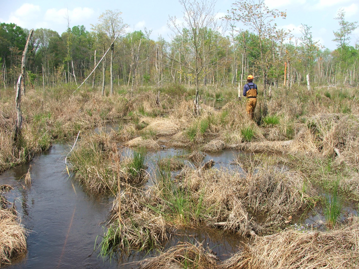 Field photo showing stream conditions at site MATT-201-A-2008-2