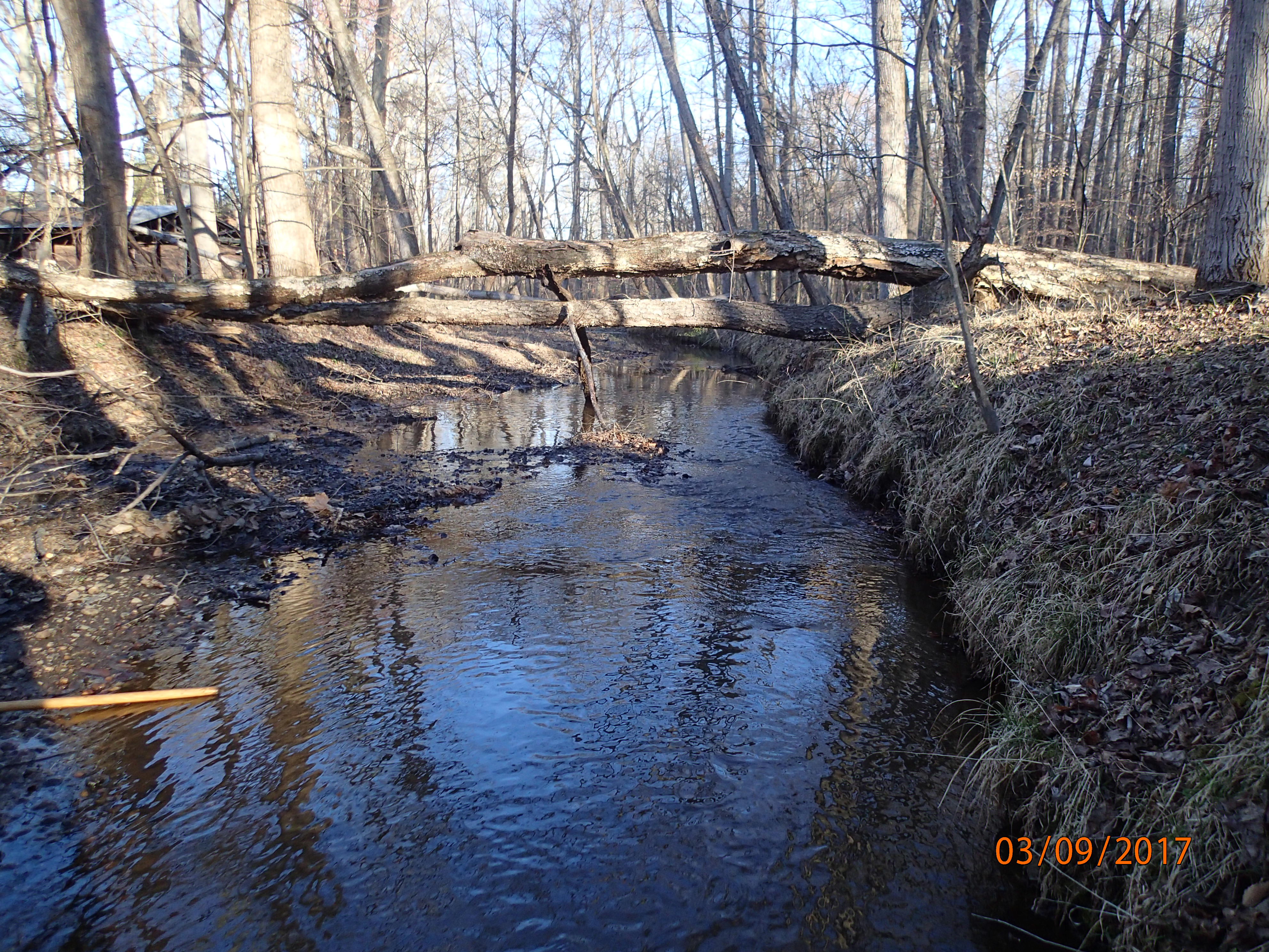 Field photo showing stream conditions at site MATT-201-X-2017-MidpointDownstream