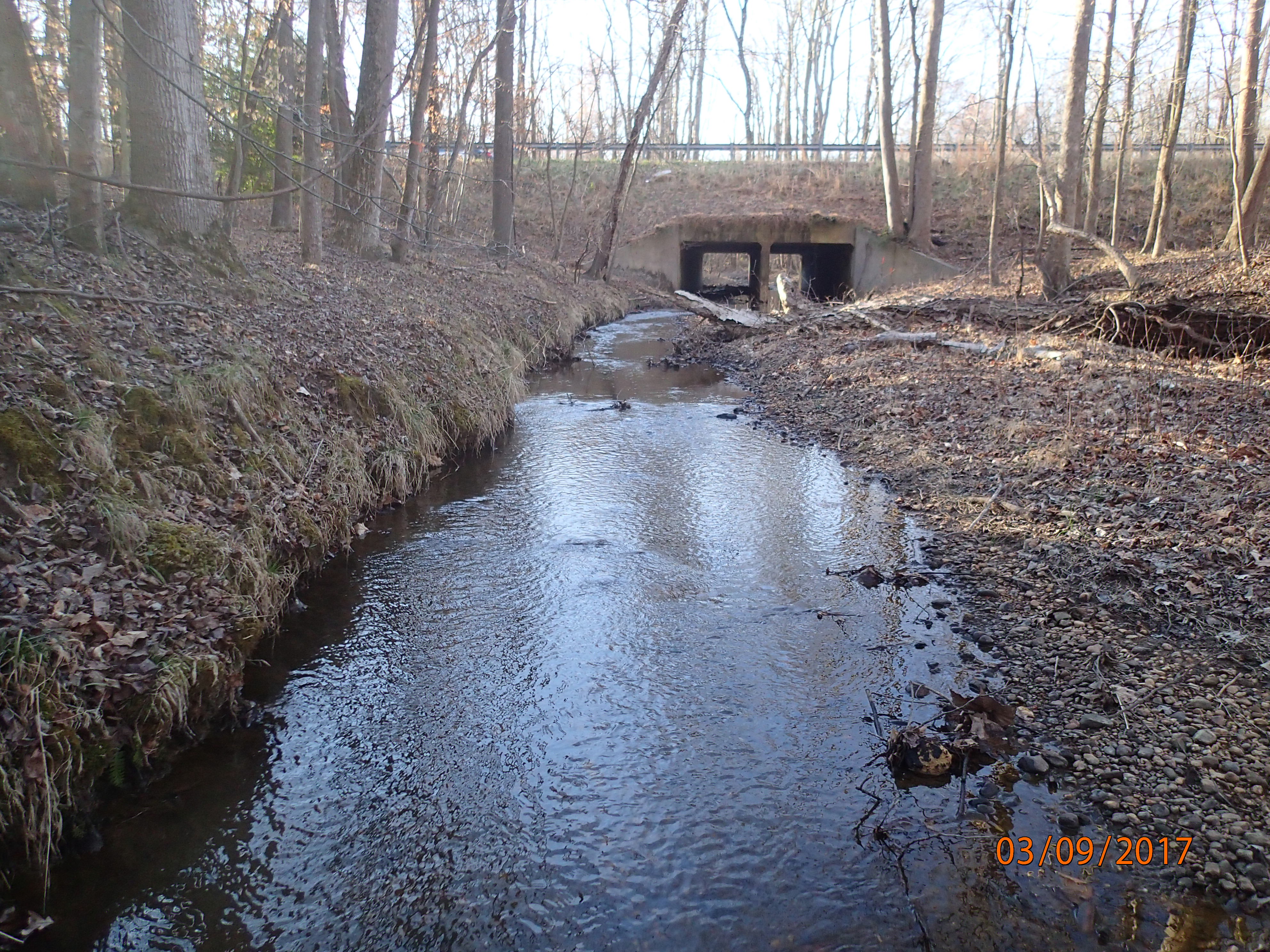 Field photo showing stream conditions at site MATT-201-X-2017-MidpointUpstream