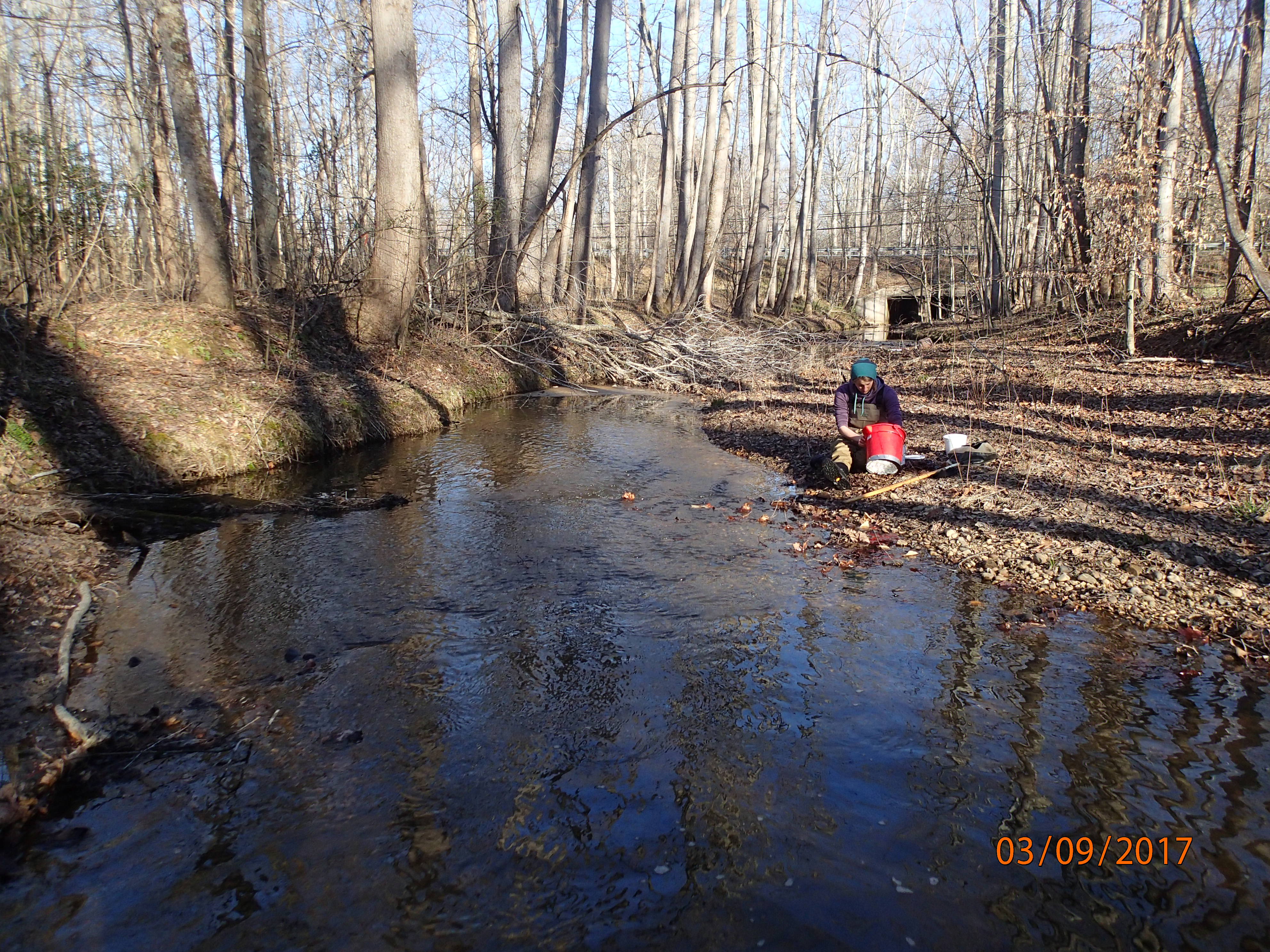Field photo showing stream conditions at site MATT-202-X-2017-MidpointDownstream