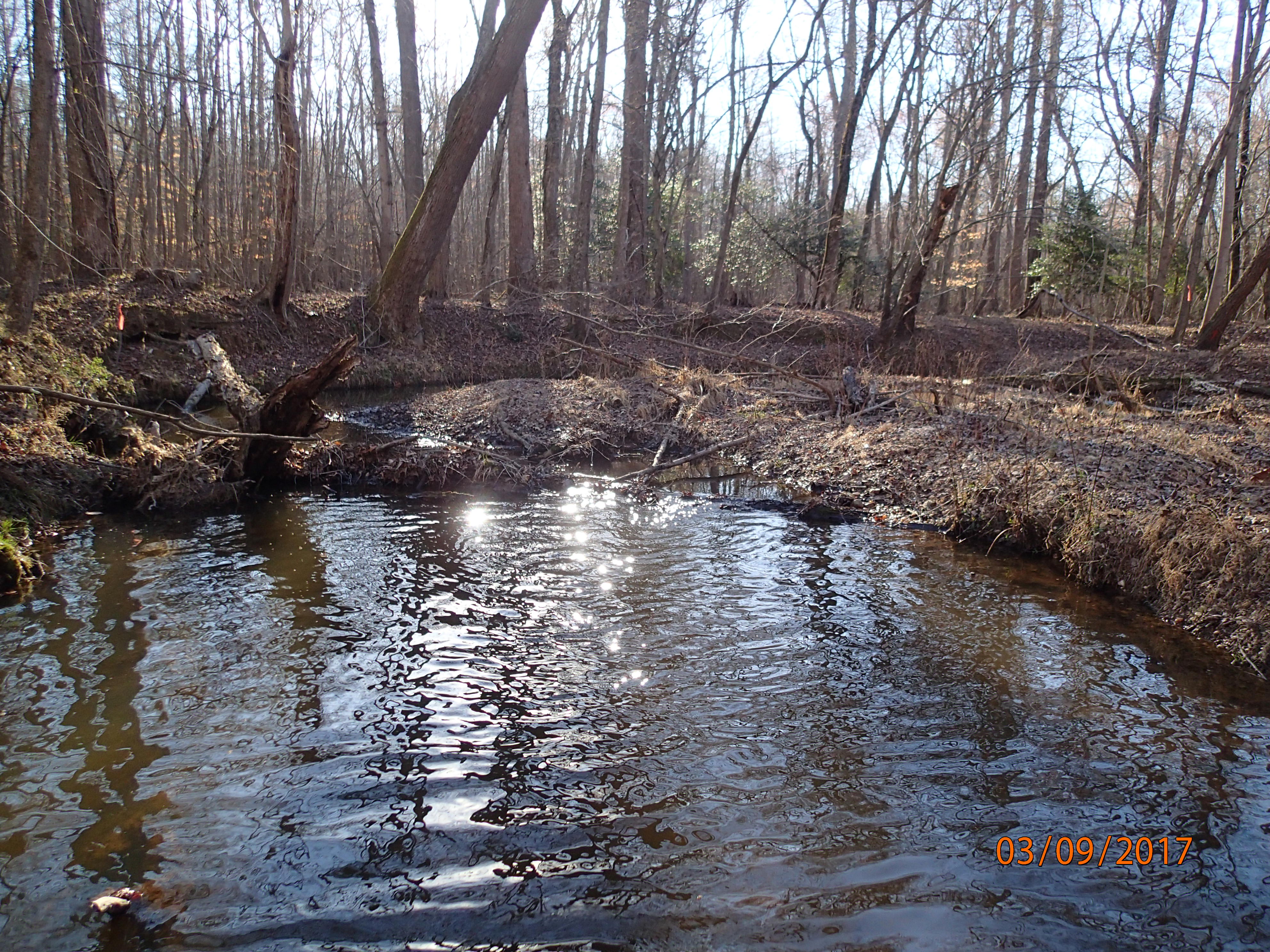 Field photo showing stream conditions at site MATT-202-X-2017-MidpointUpstream