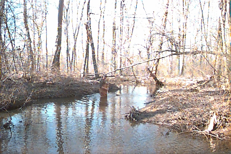 Field photo showing stream conditions at site MATT-210-R-2000-01