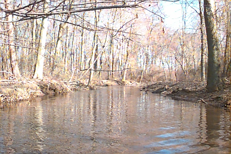 Field photo showing stream conditions at site MATT-210-R-2000-02