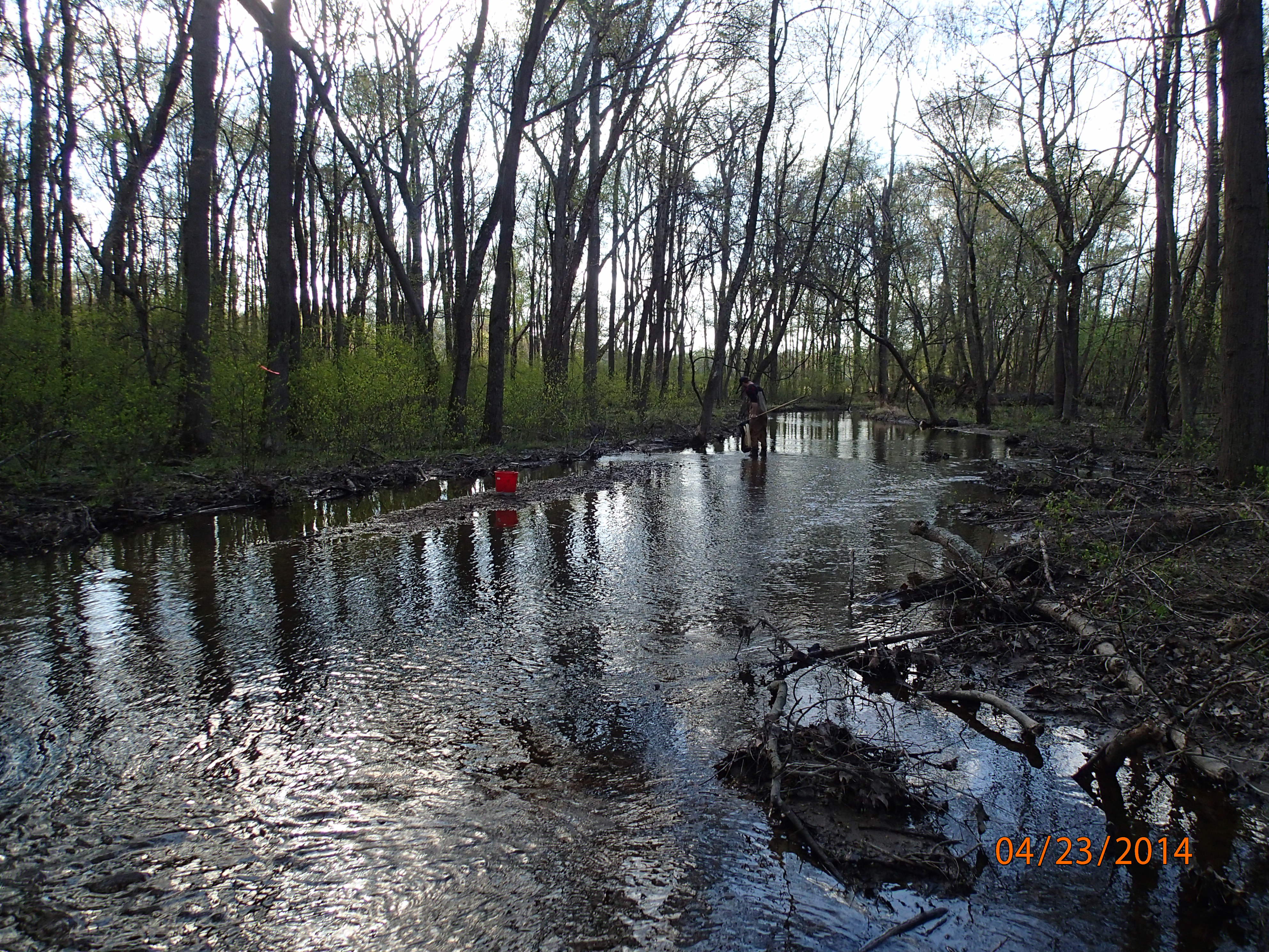 Field photo showing stream conditions at site MATT-210-R-2014-MidpointUpstream