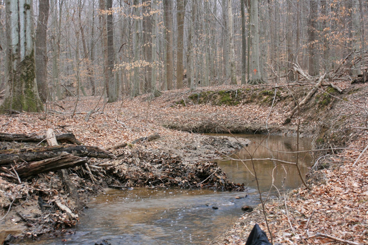Field photo showing stream conditions at site MATT-212-A-2011-1