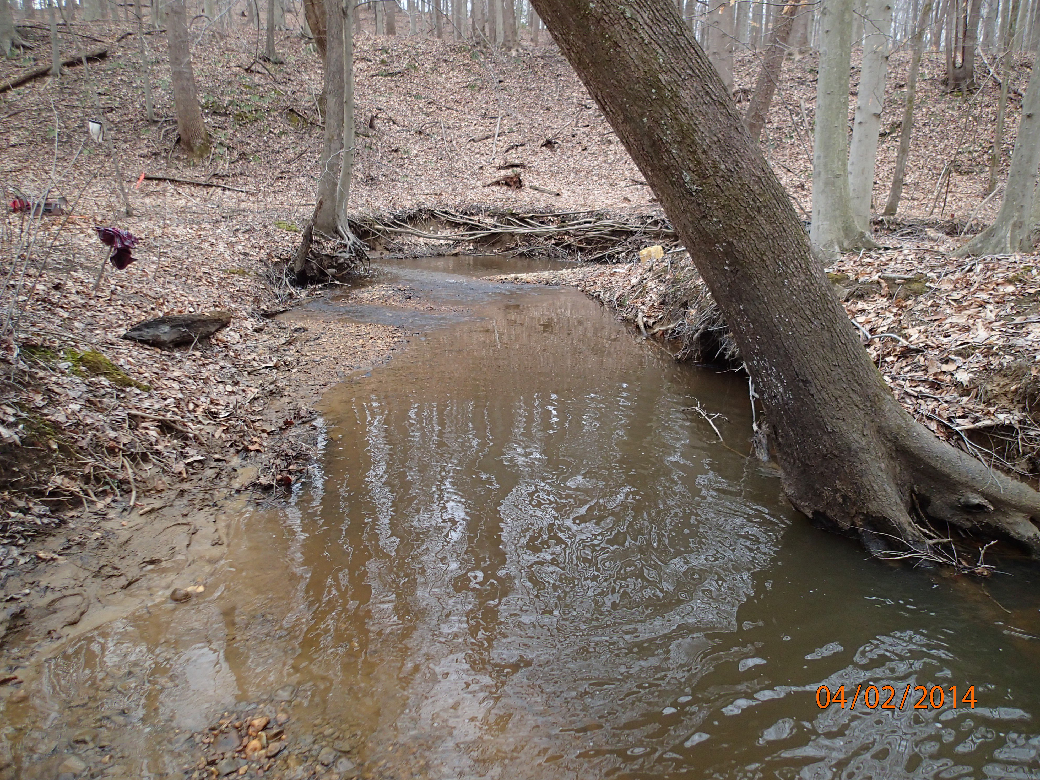 Field photo showing stream conditions at site MATT-212-R-2014-MidpointDownstream