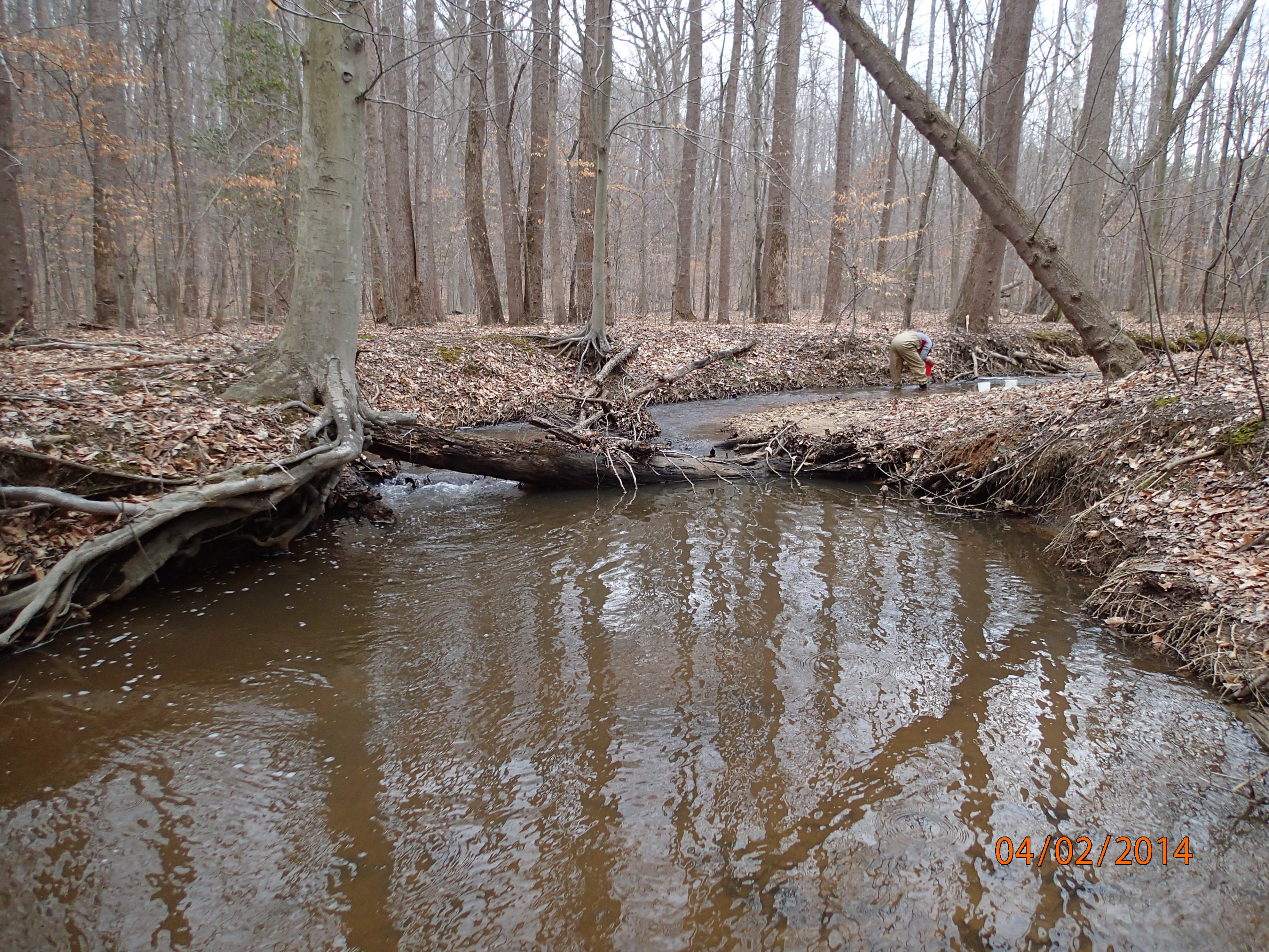 Field photo showing stream conditions at site MATT-212-R-2014-MidpointUpstream