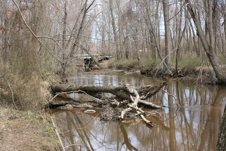 Field photo showing stream conditions at site MATT-305-X-2011-1