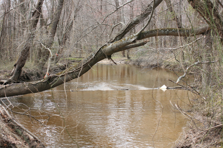 Field photo showing stream conditions at site MATT-305-X-2011-2
