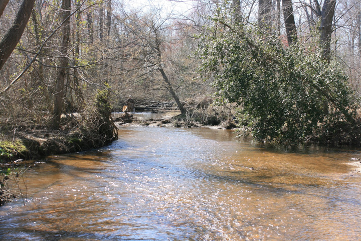Field photo showing stream conditions at site MATT-306-X-2011-2