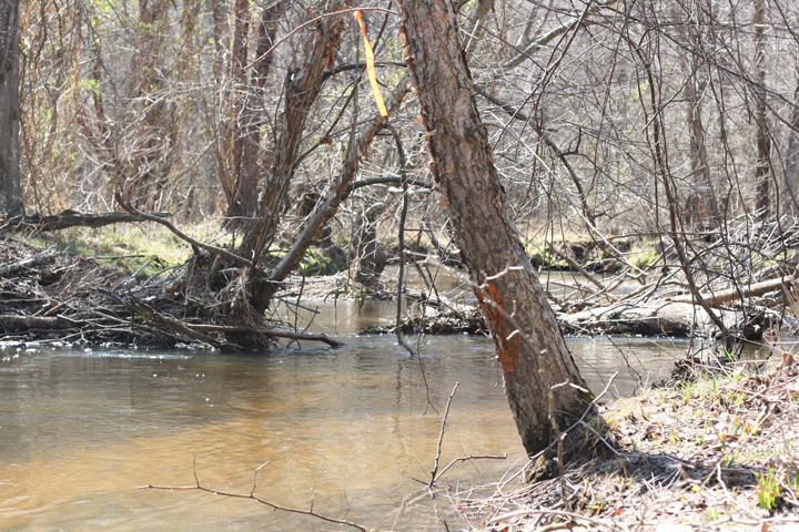 Field photo showing stream conditions at site MATT-308-A-2009-1