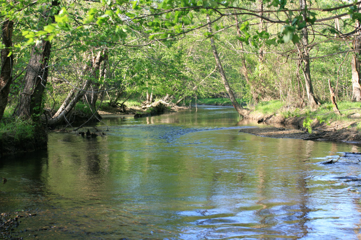 Field photo showing stream conditions at site MATT-308-A-2010-1