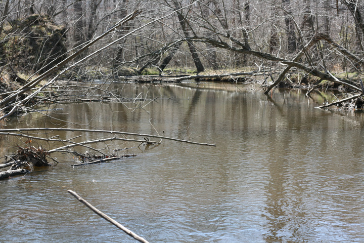 Field photo showing stream conditions at site MATT-309-A-2009-1