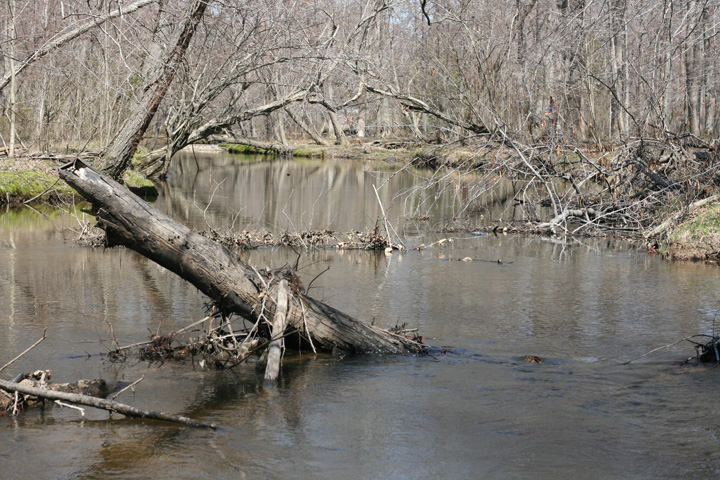 Field photo showing stream conditions at site MATT-309-A-2009-2