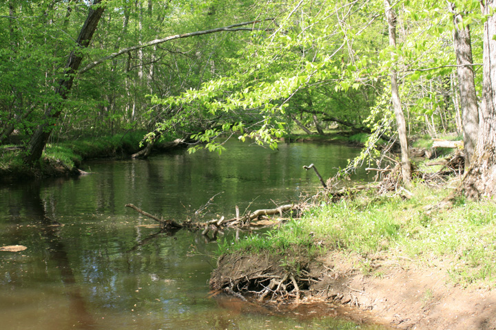 Field photo showing stream conditions at site MATT-309-A-2010-1