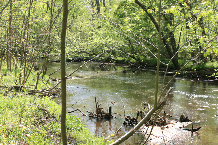 Field photo showing stream conditions at site MATT-309-A-2010-2