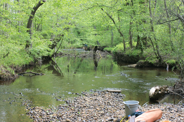Field photo showing stream conditions at site MATT-314-A-2010-1