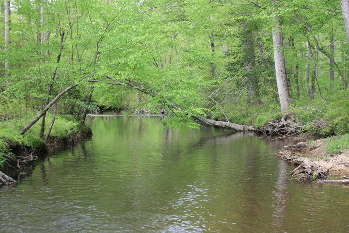 Field photo showing stream conditions at site MATT-314-A-2010-2