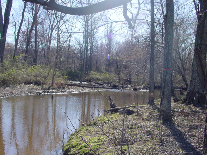 Field photo showing stream conditions at site MATT-316-A-2007-1
