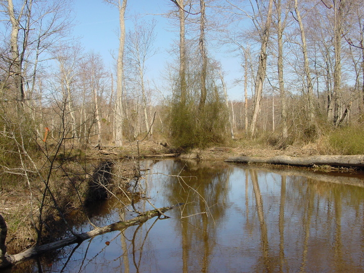 Field photo showing stream conditions at site MATT-316-A-2007-2