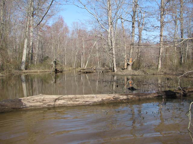 Field photo showing stream conditions at site MATT-316-A-2012-1