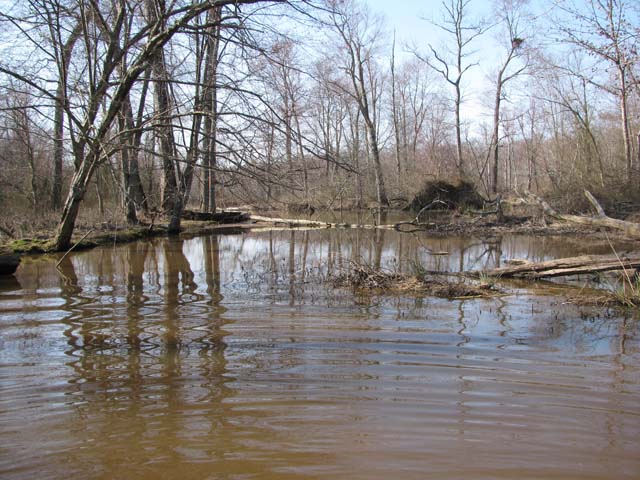 Field photo showing stream conditions at site MATT-316-A-2012-2