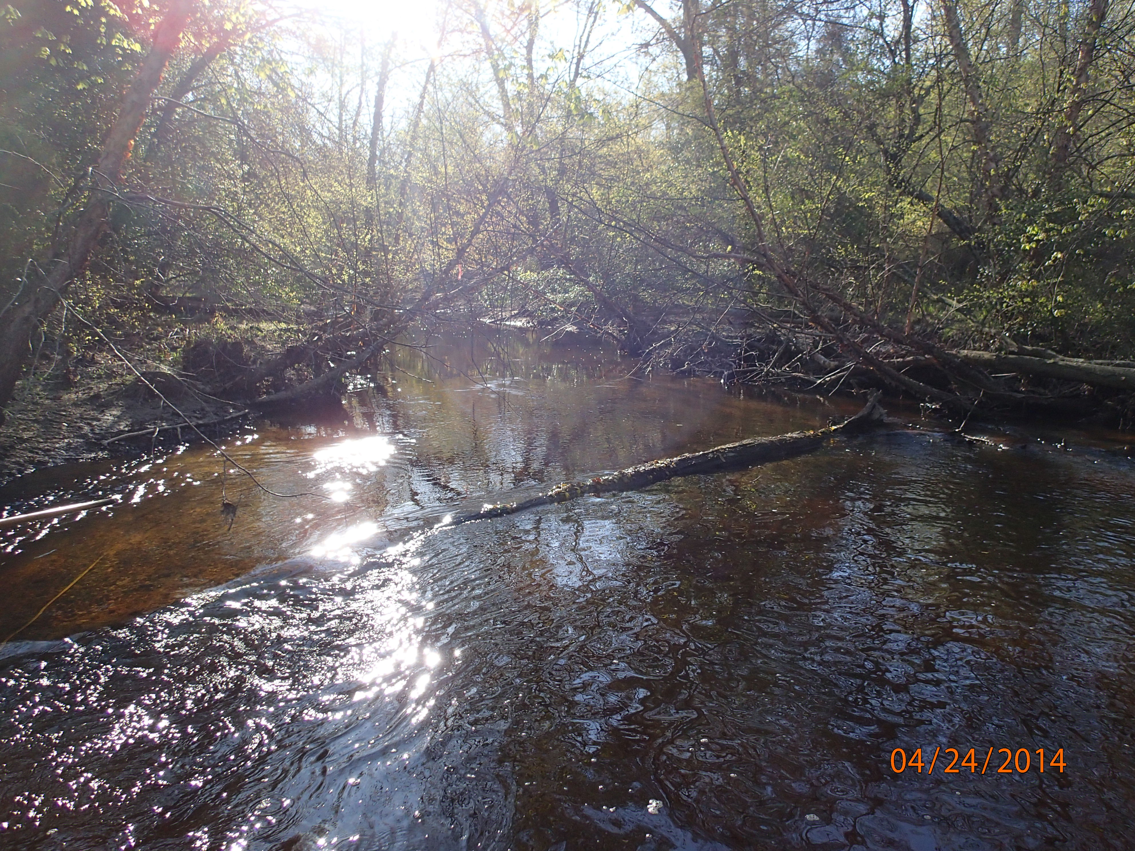 Field photo showing stream conditions at site MATT-320-R-2014-MidpointUpstream
