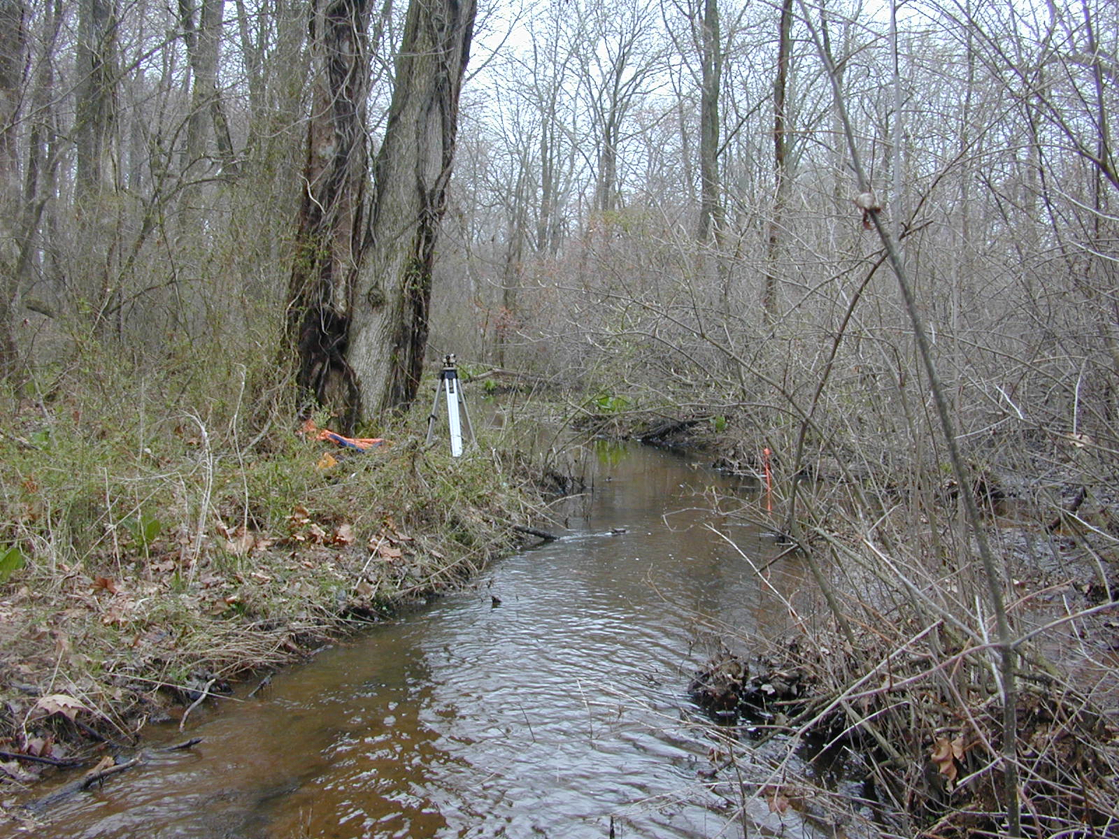 Field photo showing stream conditions at site MICR-101-R-2003-0954