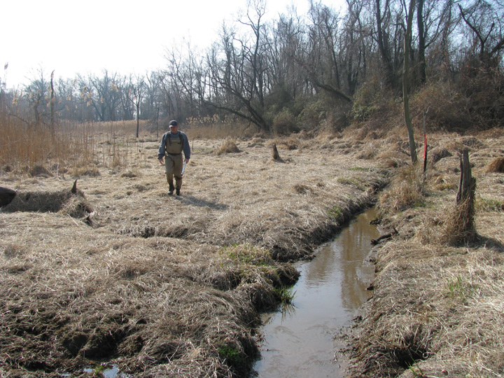 Field photo showing stream conditions at site MICR-101-R-2009-2