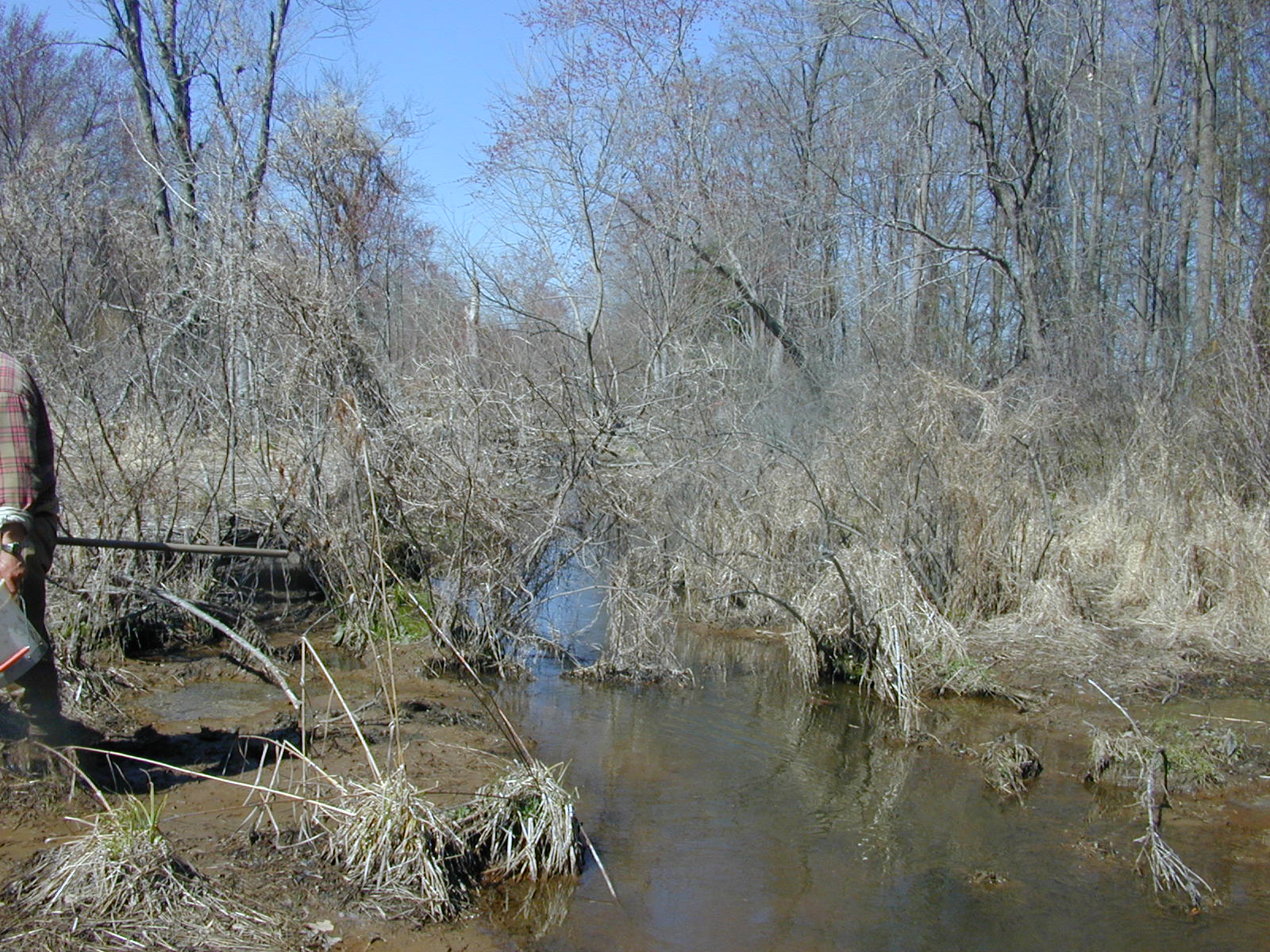 Field photo showing stream conditions at site MICR-105-R-2003-0977