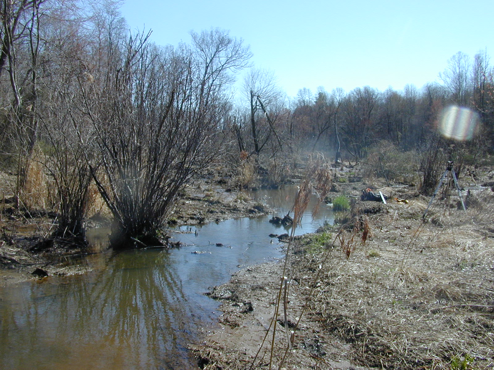 Field photo showing stream conditions at site MICR-105-R-2003-0978