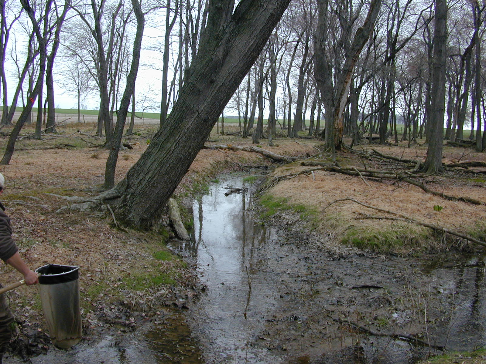 Field photo showing stream conditions at site MICR-106-R-2003-0959