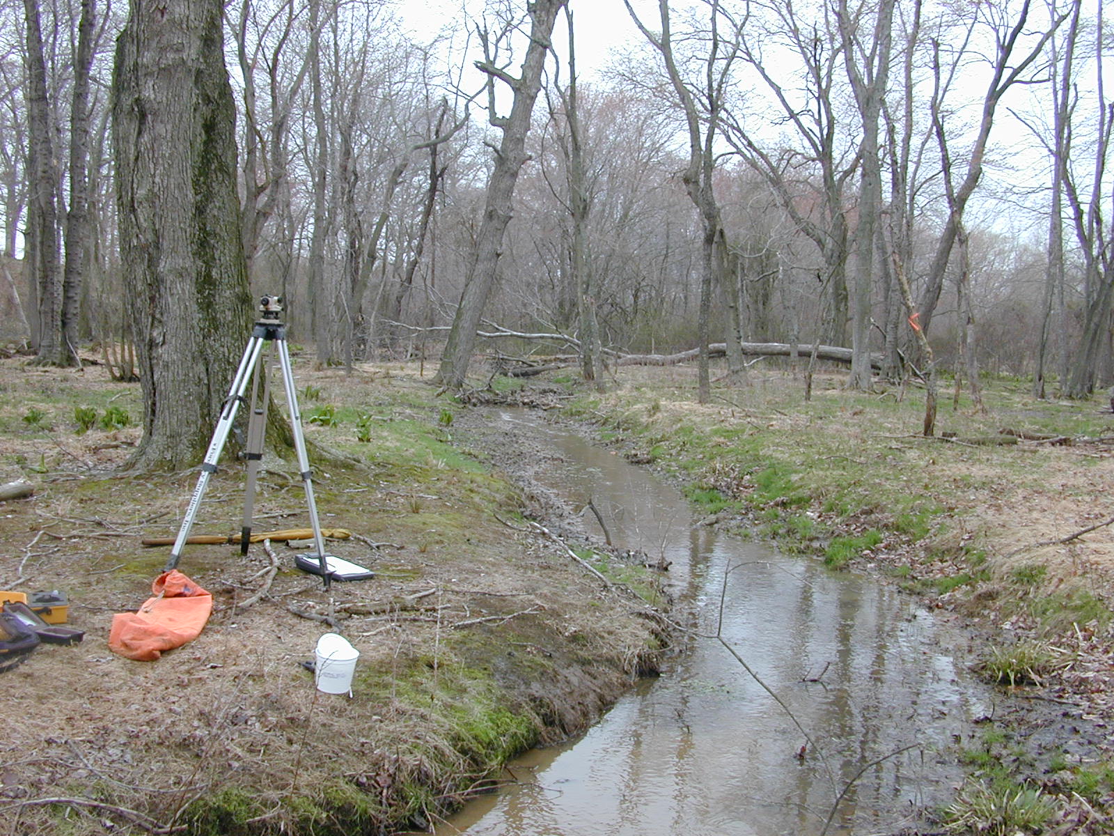 Field photo showing stream conditions at site MICR-106-R-2003-0960