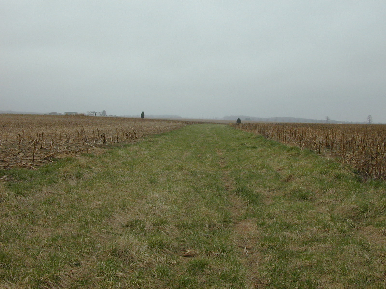 Field photo showing stream conditions at site MICR-109-R-2002-1