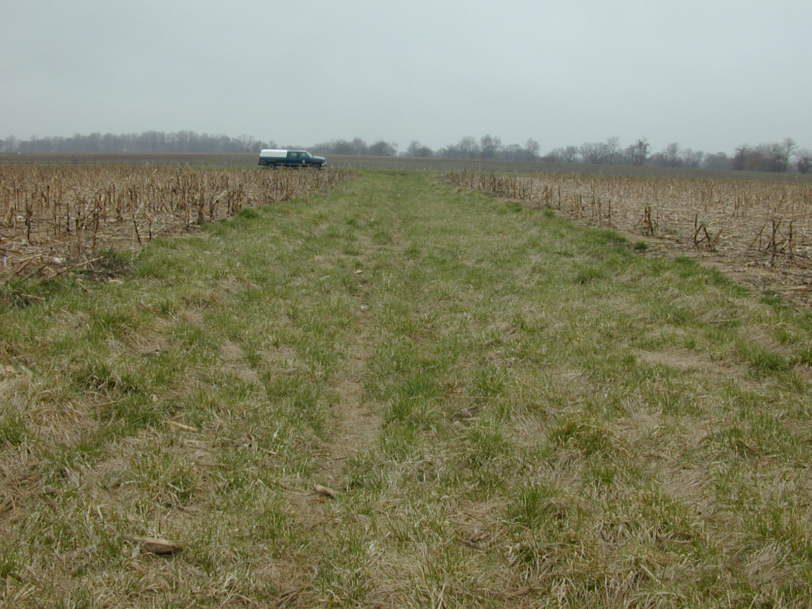 Field photo showing stream conditions at site MICR-109-R-2002-2